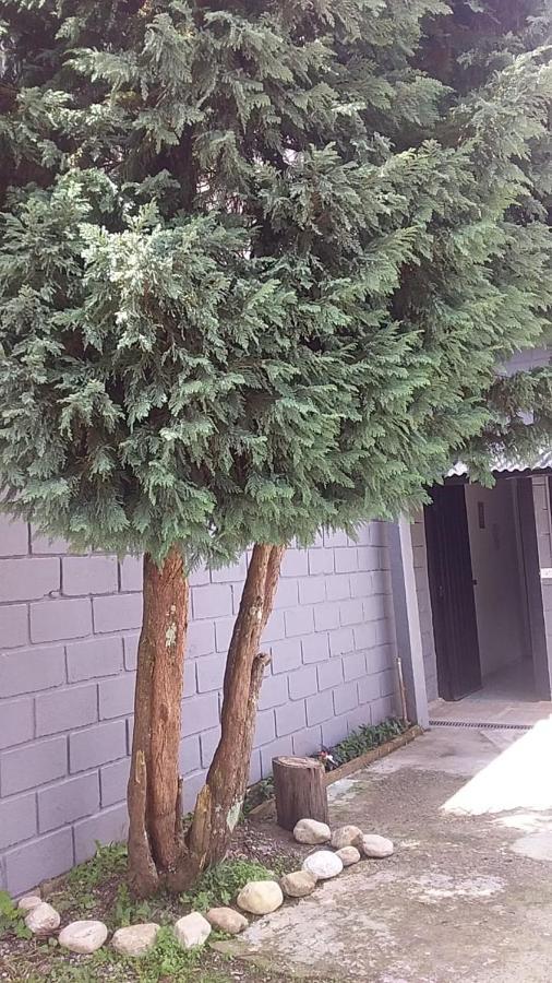Kitnet Recanto De Campos-Pertinho Do Centro Villa Campos do Jordao Ngoại thất bức ảnh