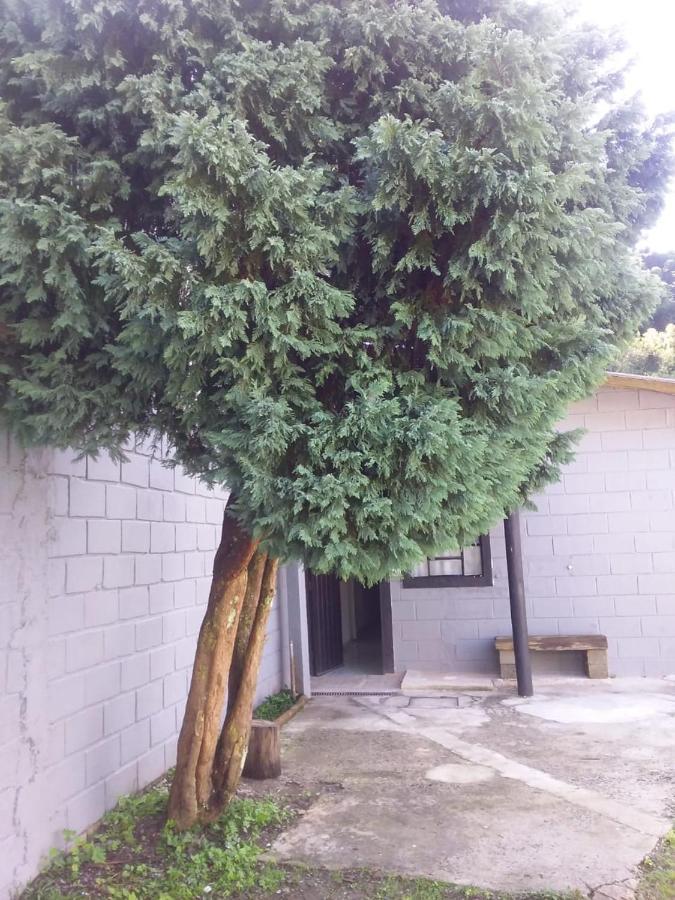 Kitnet Recanto De Campos-Pertinho Do Centro Villa Campos do Jordao Ngoại thất bức ảnh
